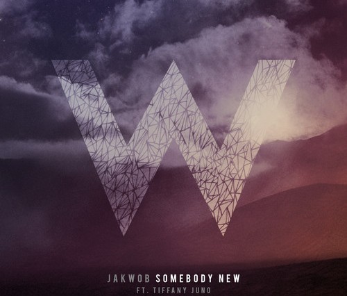 Somebody New (ft. Tiffani Juno)
